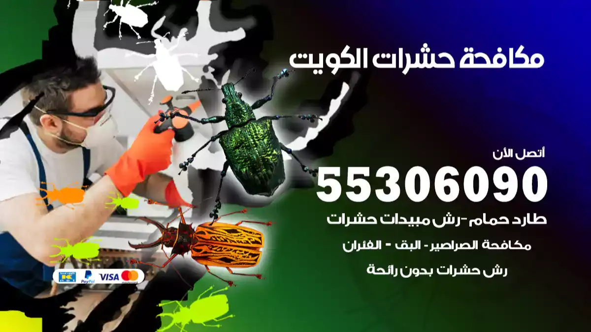 شركة رش مبيدات و مكافحة حشرات و قوارض منزلية بالكويت